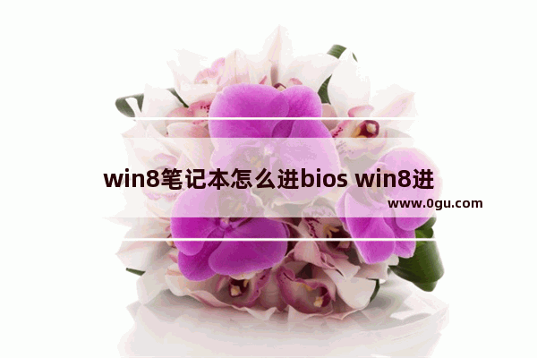 win8笔记本怎么进bios win8进入bios按什么键