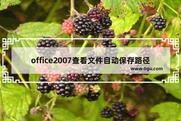 office2007查看文件自动保存路径的操作教程