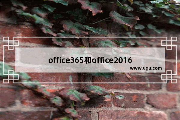 office365和office2016区别对比