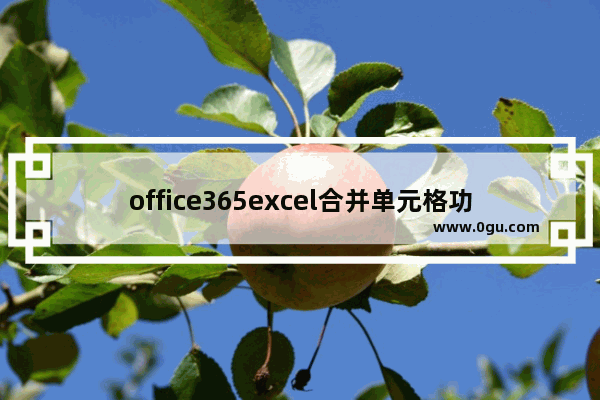 office365excel合并单元格功能位置介绍