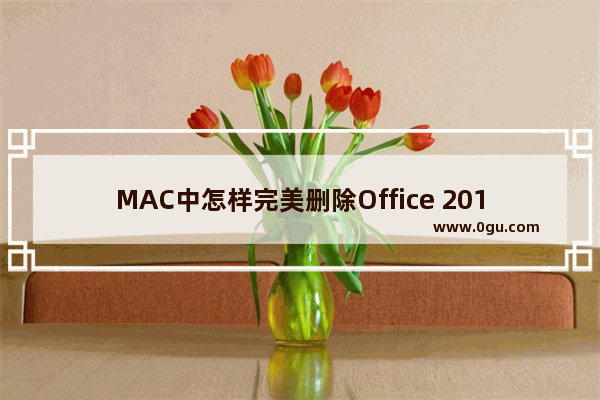 MAC中怎样完美删除Office 2011 彻底删除Office for Mac 2011方法