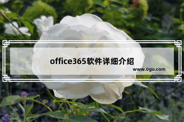 office365软件详细介绍