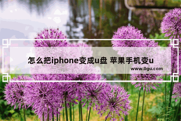 怎么把iphone变成u盘 苹果手机变u盘教程