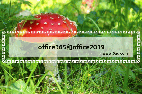 office365和office2019哪个好用详情