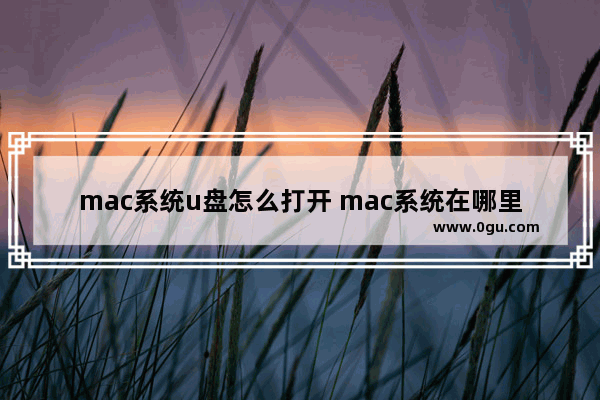 mac系统u盘怎么打开 mac系统在哪里打开u盘