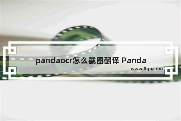 pandaocr怎么截图翻译 PandaOCR进行截图翻译的方法