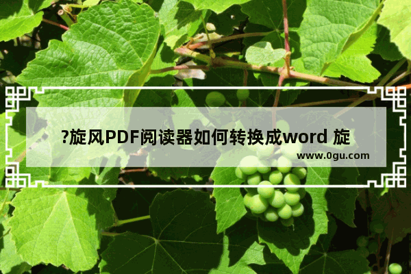 ?旋风PDF阅读器如何转换成word 旋转PDF阅读器将PDF文档转成word文档的方法