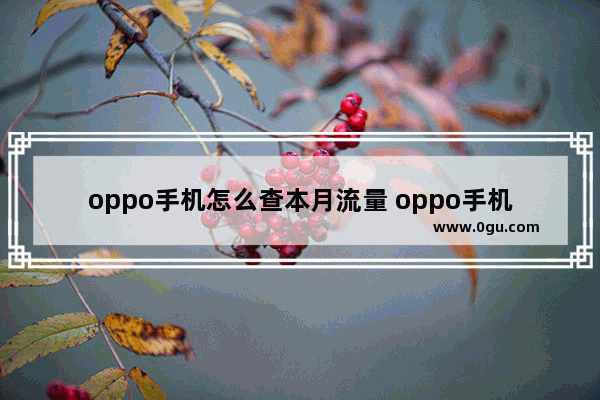 oppo手机怎么查本月流量 oppo手机怎么查看本月剩下多少流量