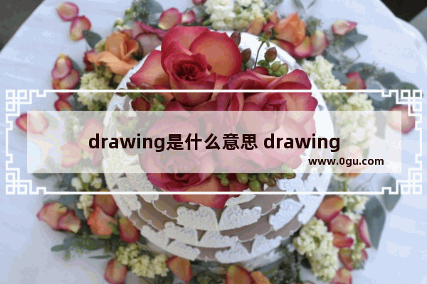 drawing是什么意思 drawing解释