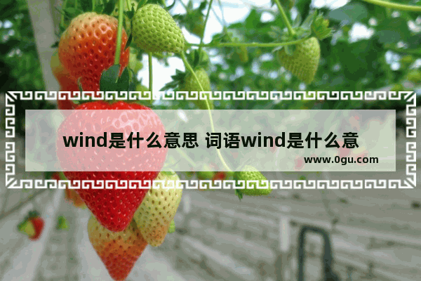 wind是什么意思 词语wind是什么意思