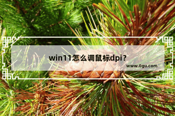 win11怎么调鼠标dpi？