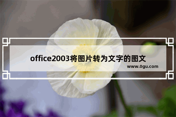 office2003将图片转为文字的图文操作方法