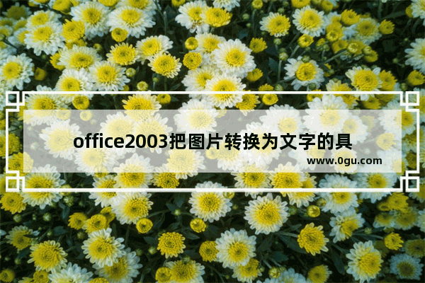 office2003把图片转换为文字的具体操作教程