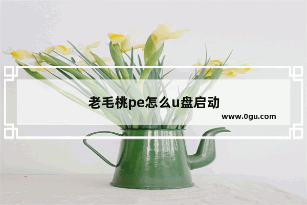 老毛桃pe怎么u盘启动