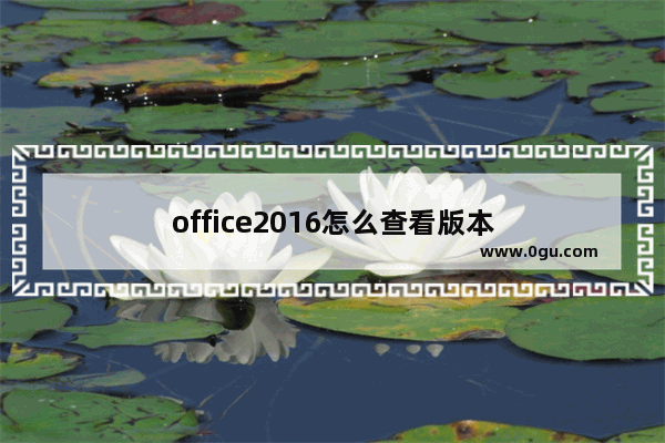 office2016怎么查看版本