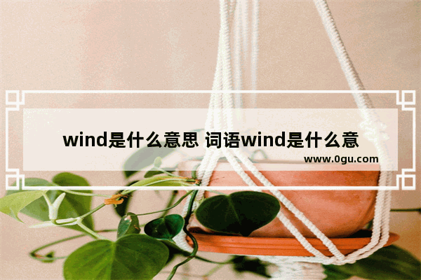 wind是什么意思 词语wind是什么意思