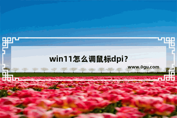 win11怎么调鼠标dpi？