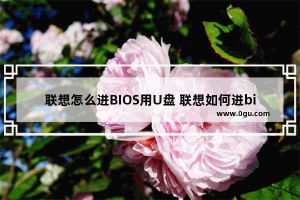 联想怎么进BIOS用U盘 联想如何进bios u盘启动