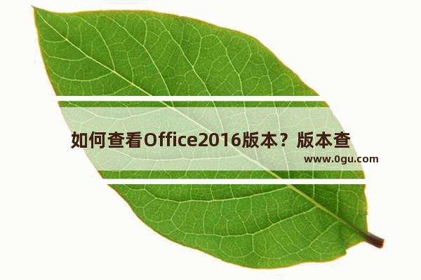 如何查看Office2016版本？版本查看方法详解