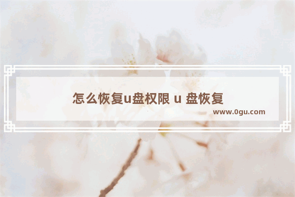 怎么恢复u盘权限 u 盘恢复