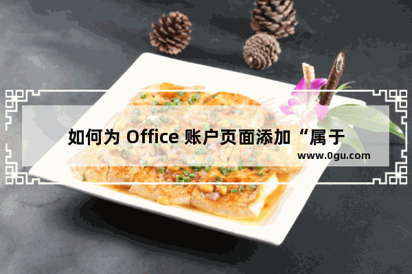 如何为 Office 账户页面添加“属于: [email&#160;protected]