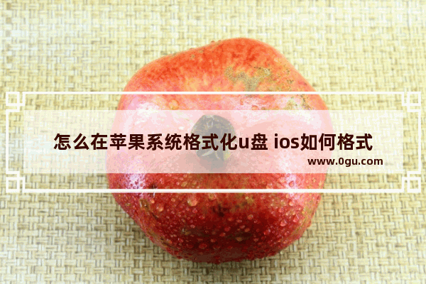 怎么在苹果系统格式化u盘 ios如何格式化u盘