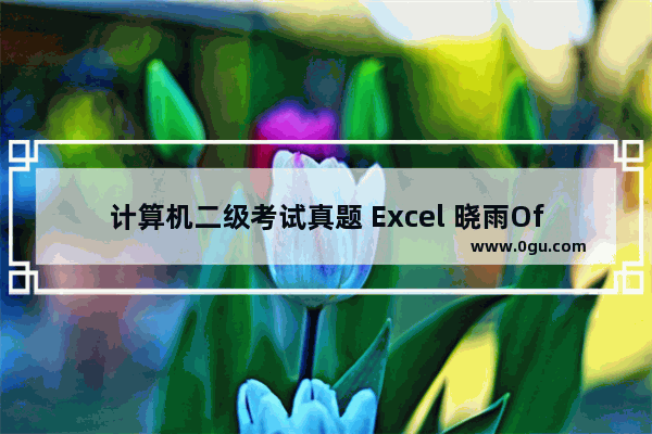 计算机二级考试真题 Excel 晓雨Office应用能力考核报告