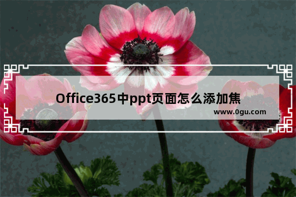 Office365中ppt页面怎么添加焦点平滑过渡效果?