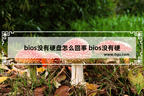 bios没有硬盘怎么回事 bios没有硬盘怎么回事儿