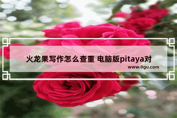 火龙果写作怎么查重 电脑版pitaya对word文档进行查重的方法