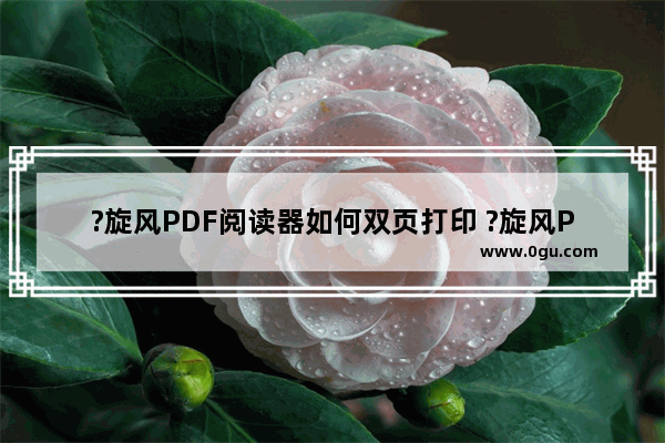 ?旋风PDF阅读器如何双页打印 ?旋风PDF阅读器打印PDF文档的方法