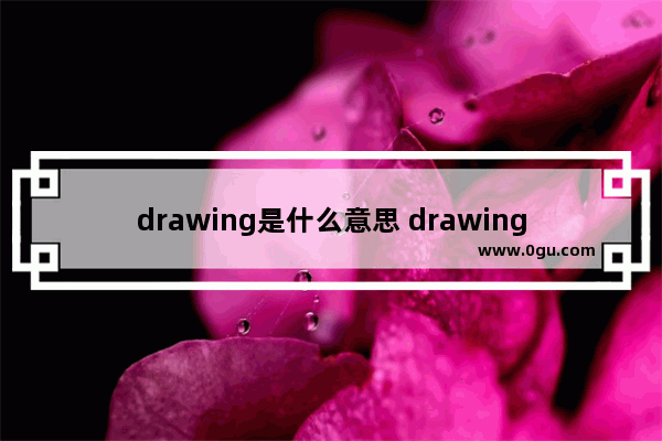 drawing是什么意思 drawing解释