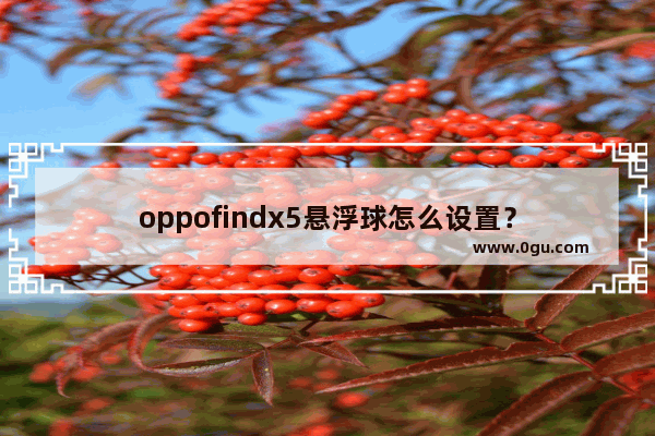 oppofindx5悬浮球怎么设置？