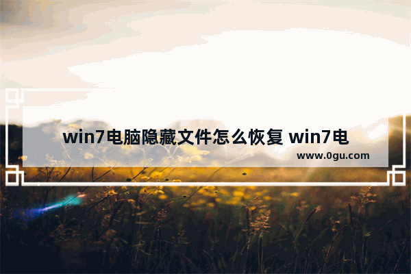 win7电脑隐藏文件怎么恢复 win7电脑隐藏文件怎么恢复到桌面