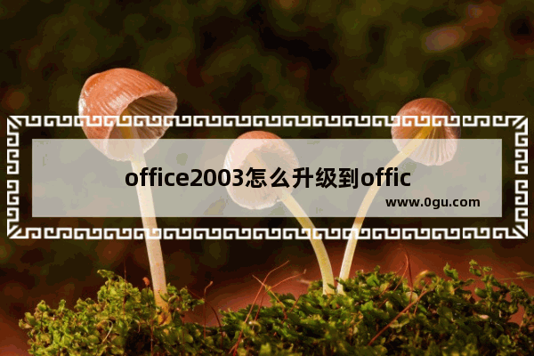 office2003怎么升级到office2007？