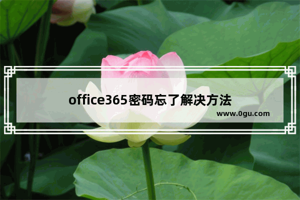 office365密码忘了解决方法