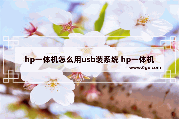 hp一体机怎么用usb装系统 hp一体机装系统怎么硬盘认不出来