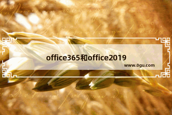 office365和office2019哪个好详细介绍