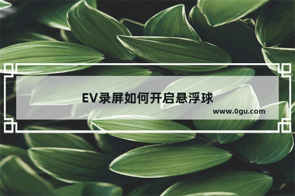 EV录屏如何开启悬浮球