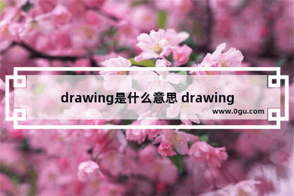 drawing是什么意思 drawing解释