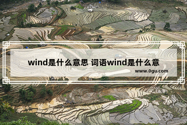 wind是什么意思 词语wind是什么意思