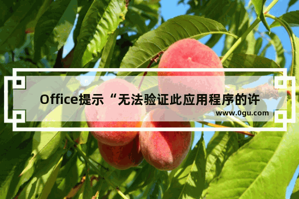 Office提示“无法验证此应用程序的许可证”时怎么处理？