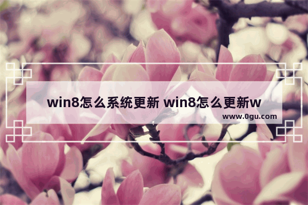 win8怎么系统更新 win8怎么更新win81