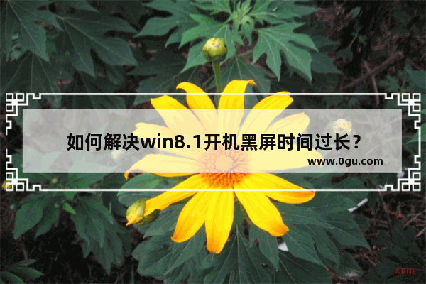 如何解决win8.1开机黑屏时间过长？