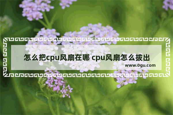 怎么把cpu风扇在哪 cpu风扇怎么拔出来