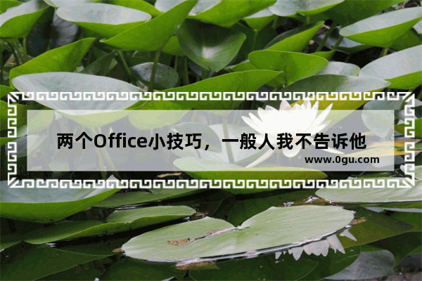 两个Office小技巧，一般人我不告诉他