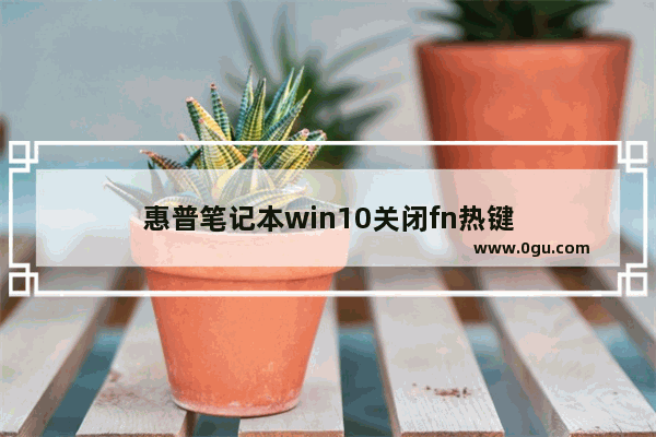 惠普笔记本win10关闭fn热键