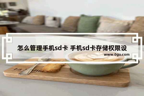 怎么管理手机sd卡 手机sd卡存储权限设置方法