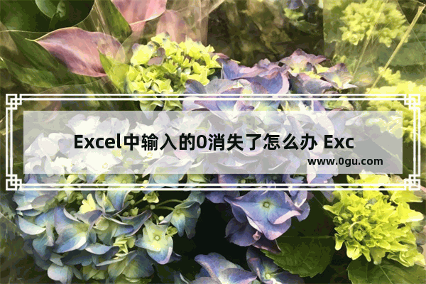 Excel中输入的0消失了怎么办 Excel中输入的0消失了的解决方法