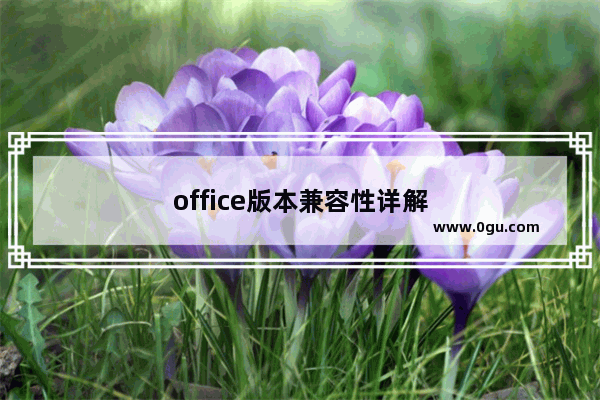 office版本兼容性详解